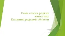 калінінградської