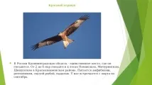 області