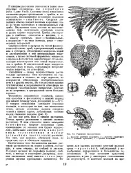 енциклопедія