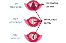 Сильний кашель та ядуха як полегшити стан хворого кашель