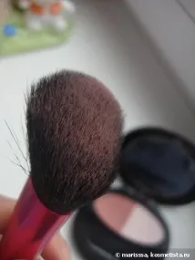 shiseido