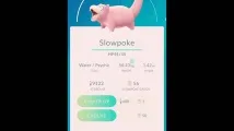 slowpoke slowpoke