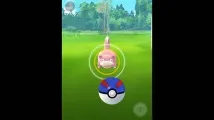 еволюция pokemon