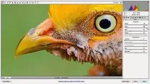 photoshop съвети