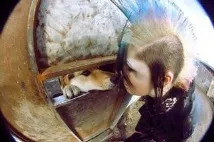 собачий