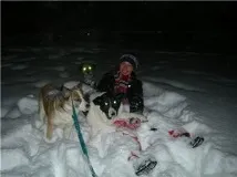 собачий
