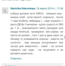 яжте месо