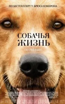 онлайн кучето