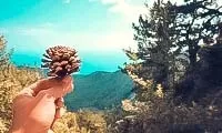 карта пътека