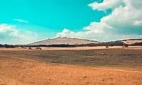 карта карта