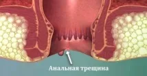 инструкции рецензии