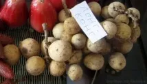 тайландски плодове