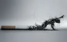 Тютюновий дим та його дія на організм організм