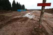 свинеферма строителството
