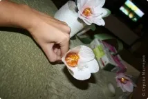 букети моите