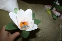 моите правя