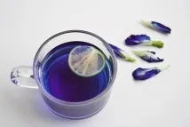 Тайський синій чай (blue pea tea) синього