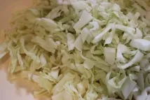 Свіжа капуста тушкована з морквою та куркою. куркою