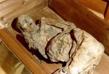 Таємниці болотних мумій (14 фото) болотних