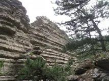 таракташ таракташ
