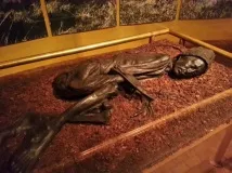 Таємниці болотних мумій (14 фото) мумій