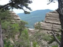 крим таракташ