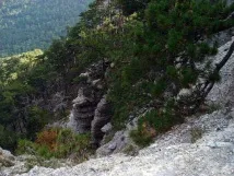 крим крим