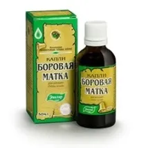 Трава борова матка – застосування для лікування, відгуки трава