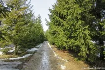 Здравнєво