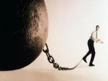 долните крайници долните крайници