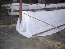 Укриття винограду на зиму агроволокном особливості захисту кущів від холоду винограду