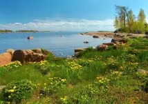 ВедаМост Перехід на сироїдіння людини