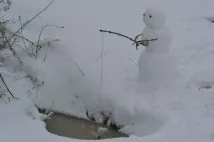 Ви все ще не знаєте, як налякати сусідів Смішні Анекдоти Історії Цитати Афоризми Вірші Зображення сусідів