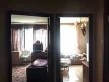 изхвърлени куче