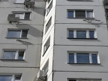 момиче куче