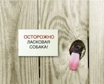 Ви все ще не знаєте, як налякати сусідів Смішні Анекдоти Історії Цитати Афоризми Вірші Зображення сусідів