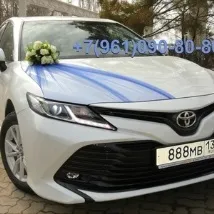красива 2017