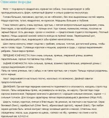 Все про породу собак Мопс породу