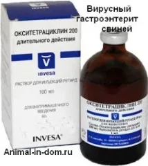 Вірусний трансмісивний гастроентерит свиней, Лікування домашніх тварин свиней
