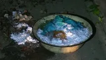 сатана сатана