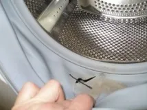 піни