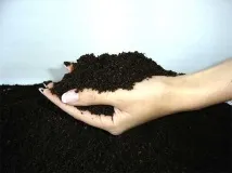 използване яйчени