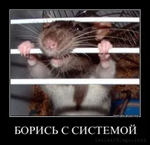 світовий