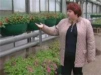 Зеленгосп вже знає чим здивувати липчан цього року липчан