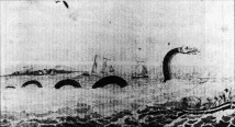 гигантска морска