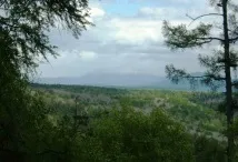 злата