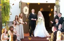 30 фото красивих живих тропічних метеликів у подарунок огляд найкрасивіших видів, сценарії тропічних