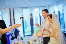 30 фото красивих живих тропічних метеликів у подарунок огляд найкрасивіших видів, сценарії тропічних