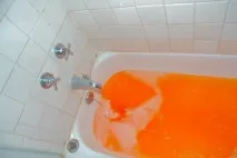 интересни факта