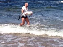 животни сърдечни